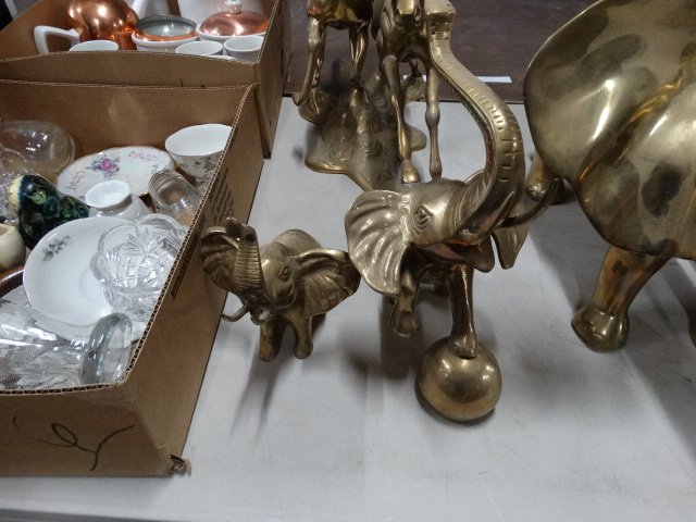 DSC04717